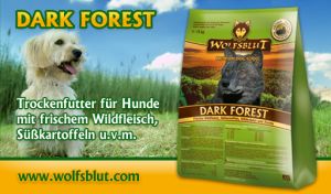 wolfsblut Dark Forest1