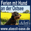 Ferien mit Hund in der AlAssil Oase