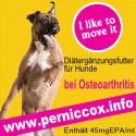 PerNic Cox - Natürliche Behandlung bei Osteoarthritis für Hunde neu definiert