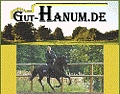 Gut Hanum