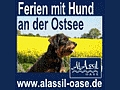 AlAssil Oase