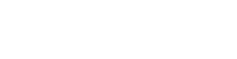logo-hunde-spiegel-web