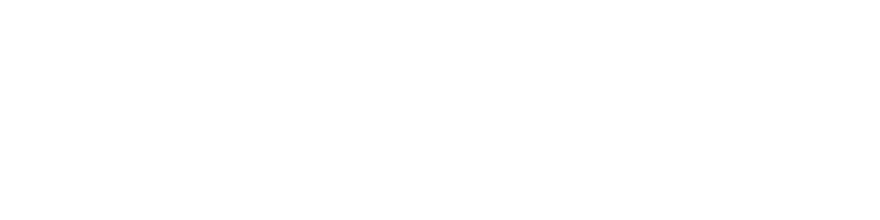logo-kleinnager-spiegel-web