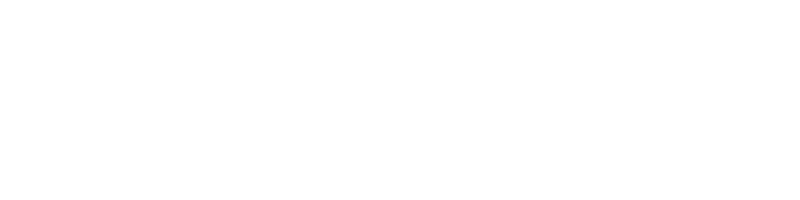 logo-pferdeponys-spiegel-web