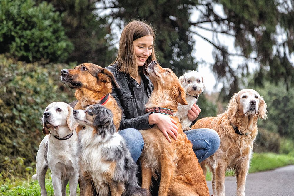 Nähe, Trost und digitale Pause: Wie Hunde und Katzen unser emotionales Wohlbefinden steuern