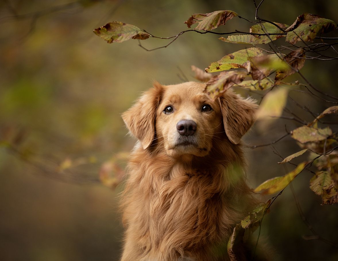 Die dunkle Jahreszeit: Zeit für große Kleinigkeiten