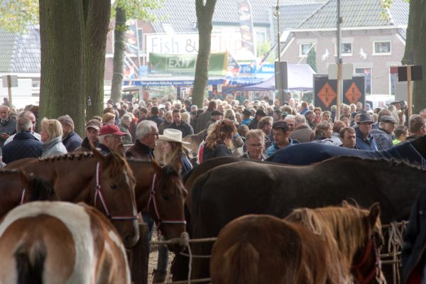 2 Zuidlaardermarkt 2016 18