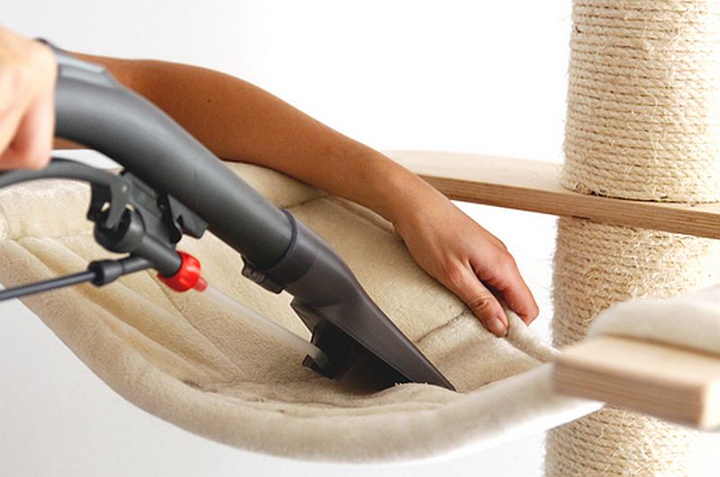 2 katzetierhaar bodenduese 1480x830