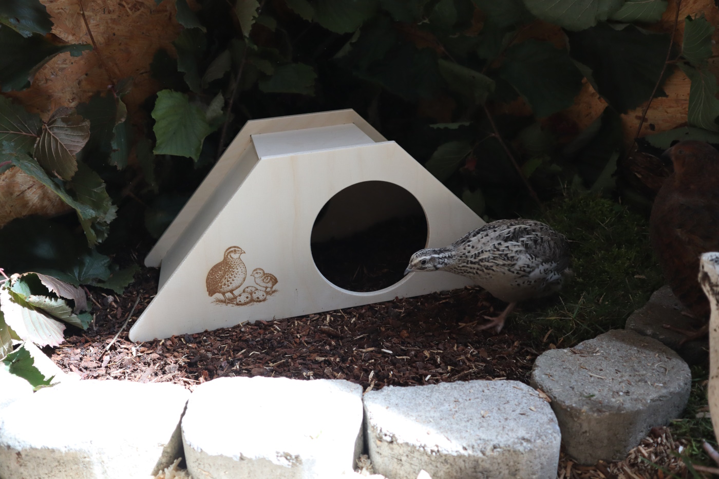 3wachtelhaus mit gravur