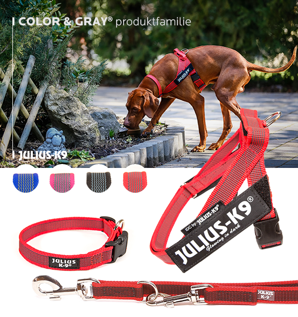 54523387 2151517364902750 1212367588605034496 n