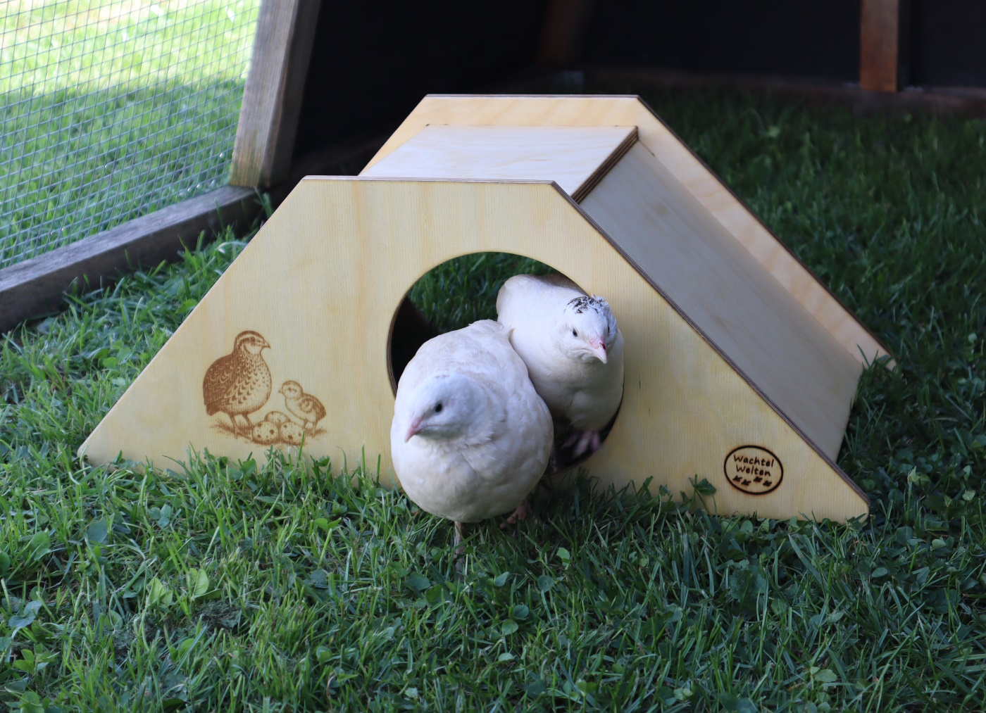 6Wachtelhaus smartlive gravur