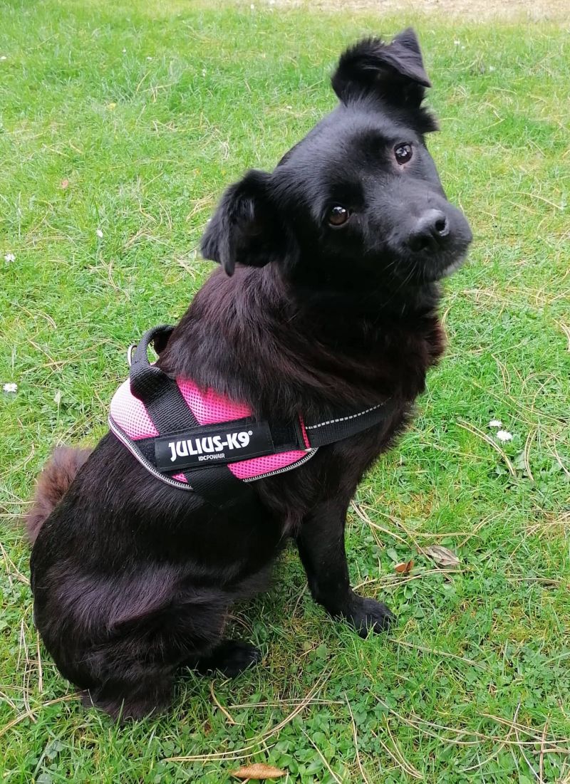 Anda PowAir Welttierschutztag 2021 klein