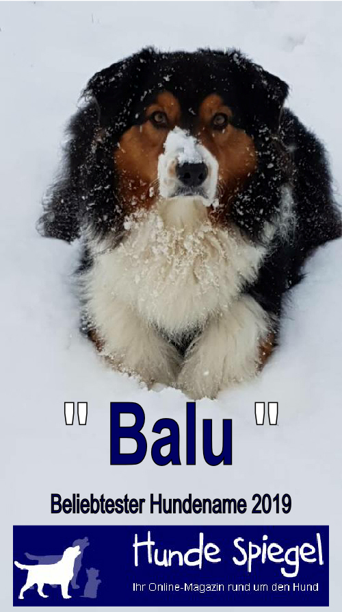 Balu 2