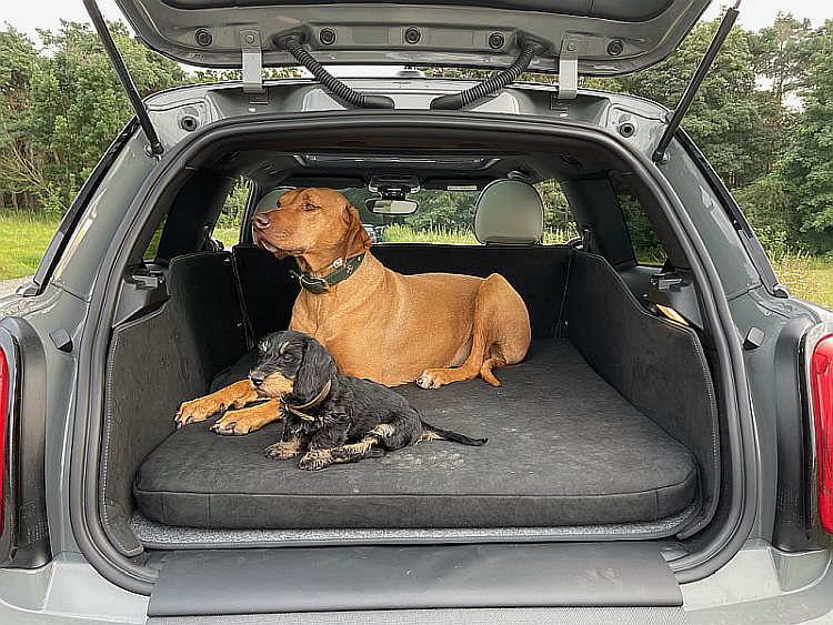 CargoCover – Die saubere Lösung für Ihren Kofferraum!