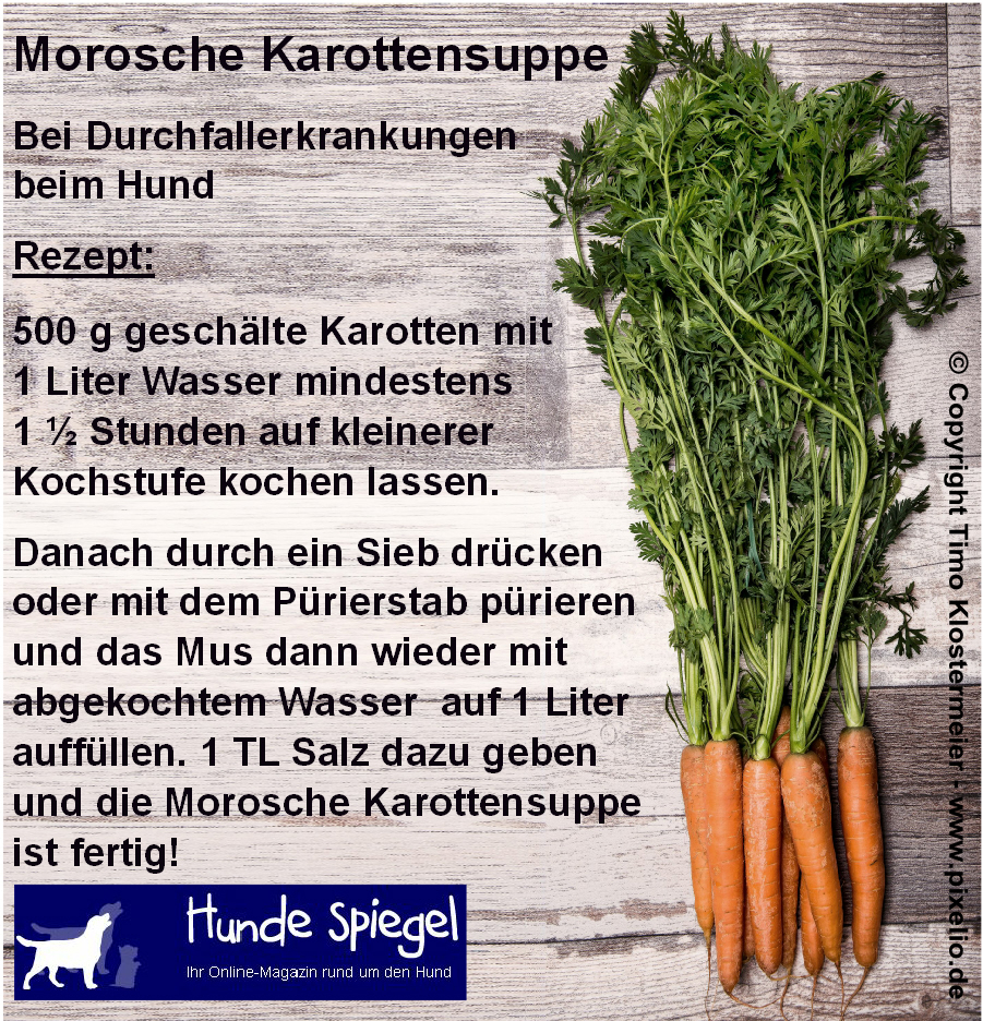 Copyright Timo Klostermeier www.pixelio.de Rezept Morosche Karottensuppe copy