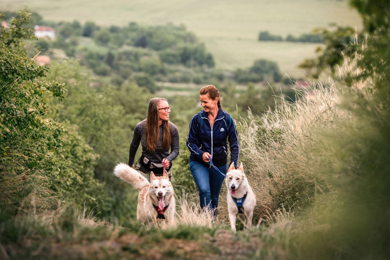 DSC 100 Wandern mit Hund 3