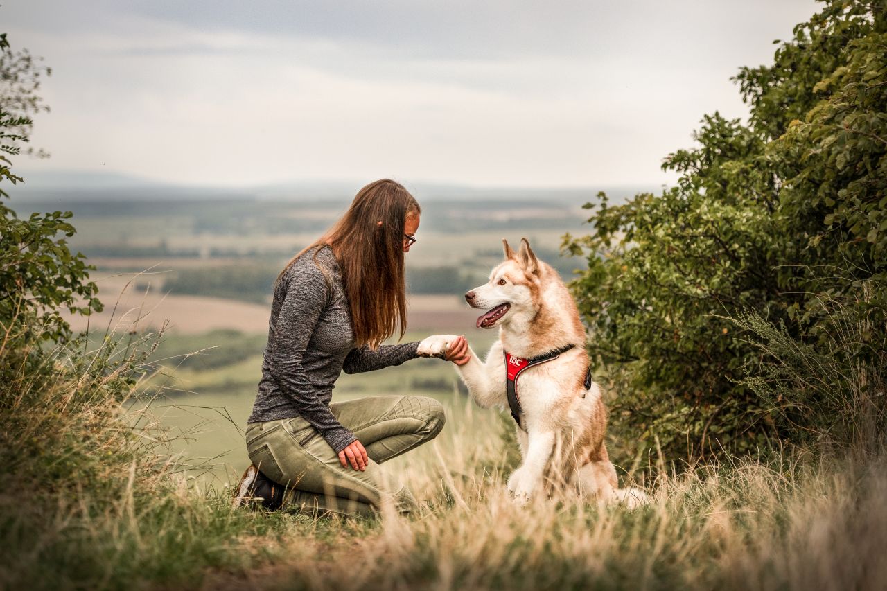 DSC 100 Wandern mit Hund 4