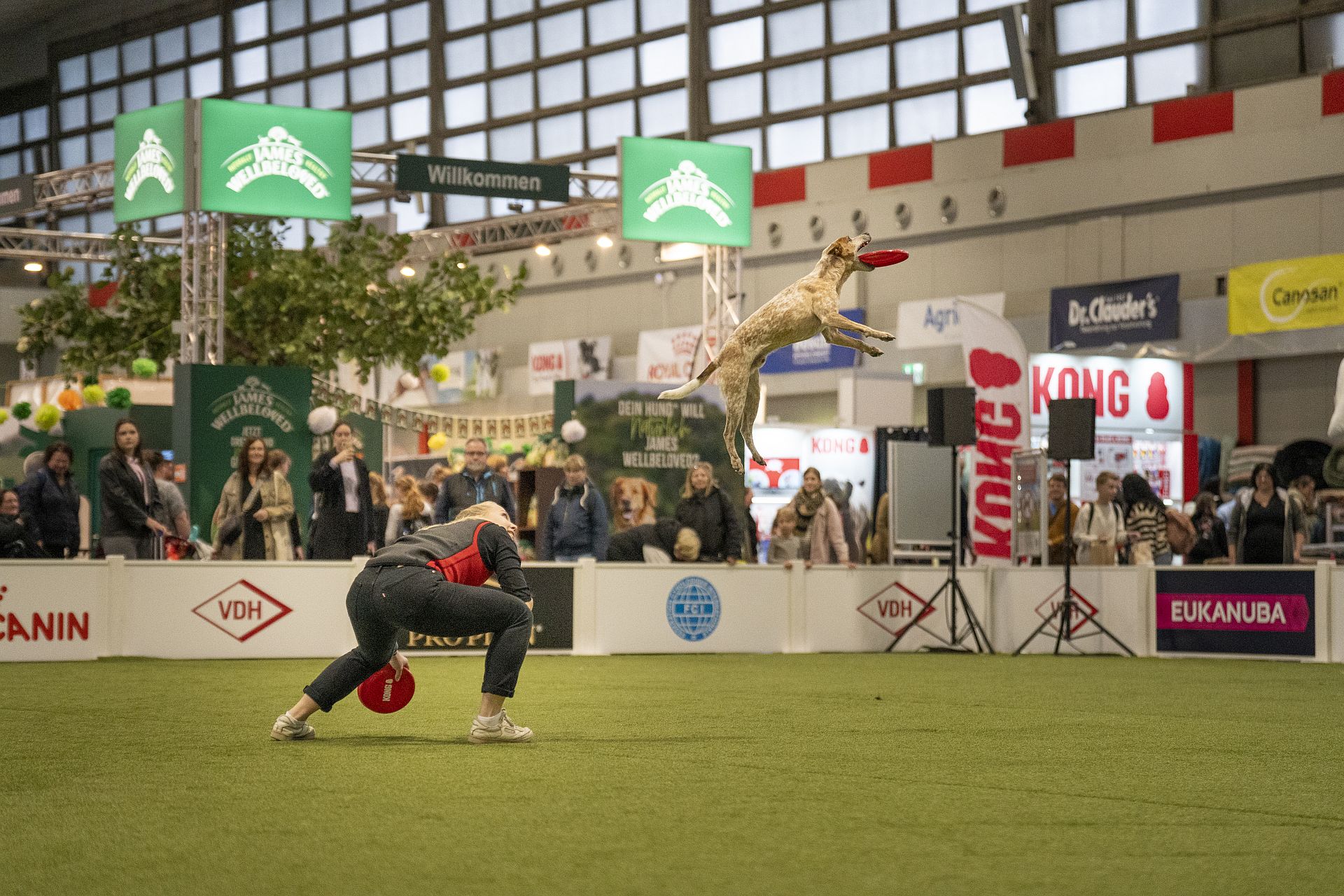 DSC02939BELCANDO Frisbee Show Copyright VDH