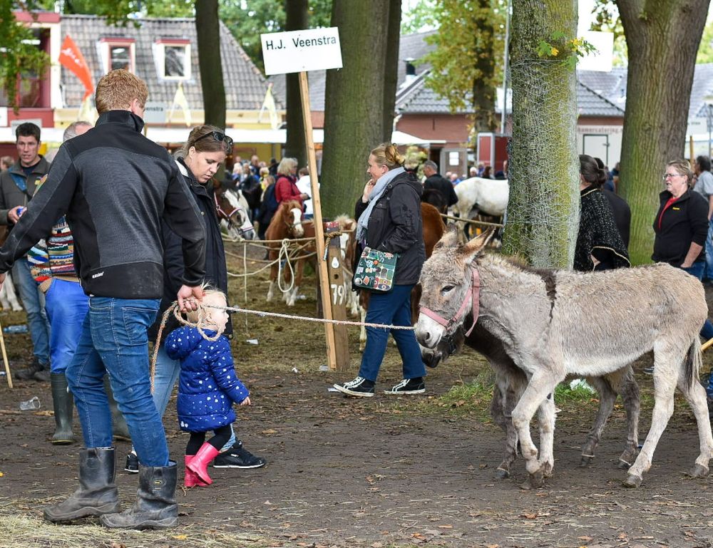 Foto voor bij onderwerp Wij wonenn hier graag Foto Marleen Valk Beukema