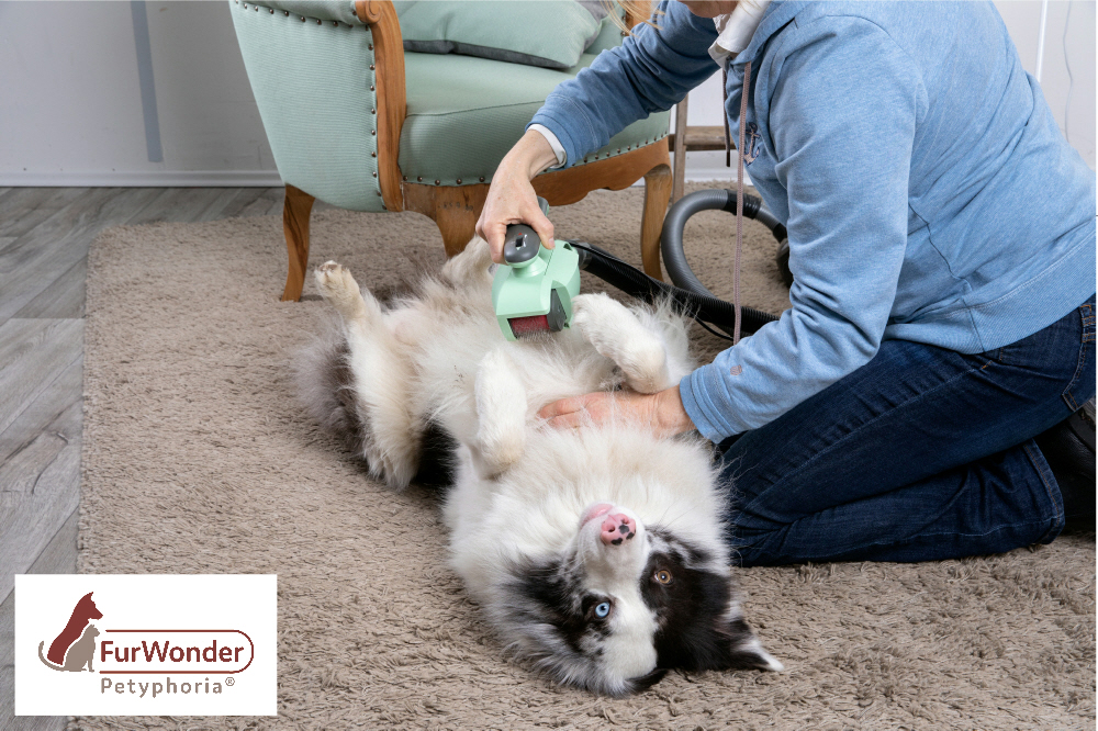Furwonder Neu 4