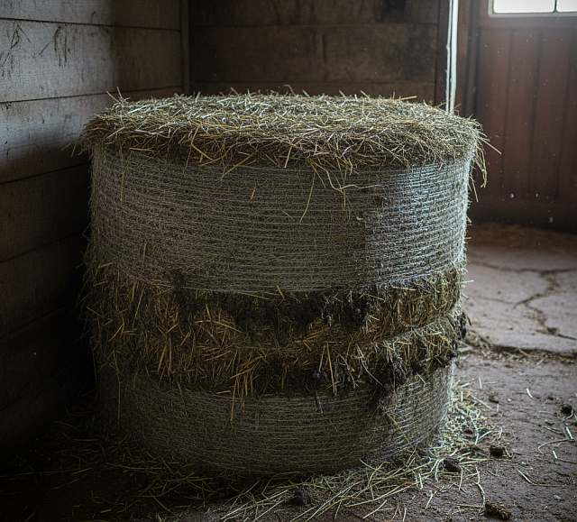 Gemini Generated Image a779lza779lza779