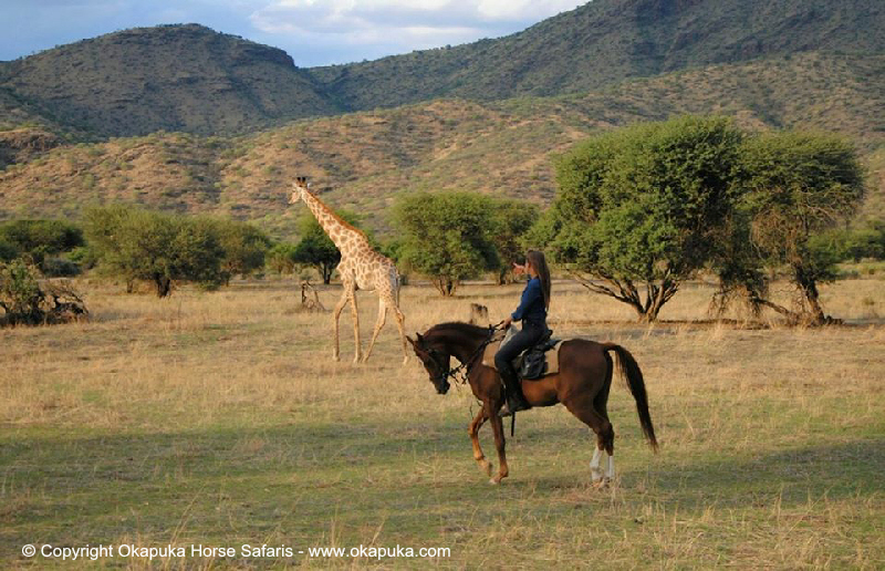 Giraffe rider 01 copy