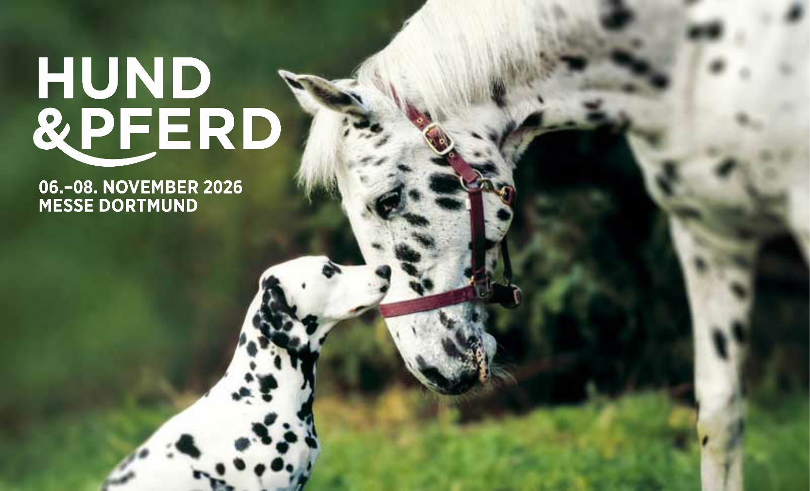 SAVE THE DATE: 📅 06. – 08. November 2026 📍- Messe Hund & Pferd 2026
