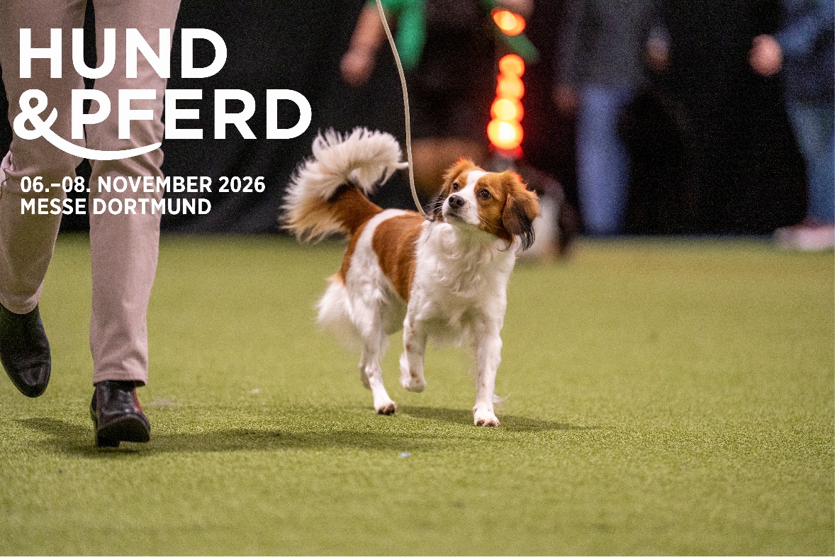 HuP2026 Rassehund copy copy copy