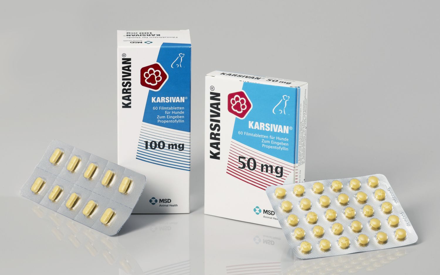 Karsivan Packshot1