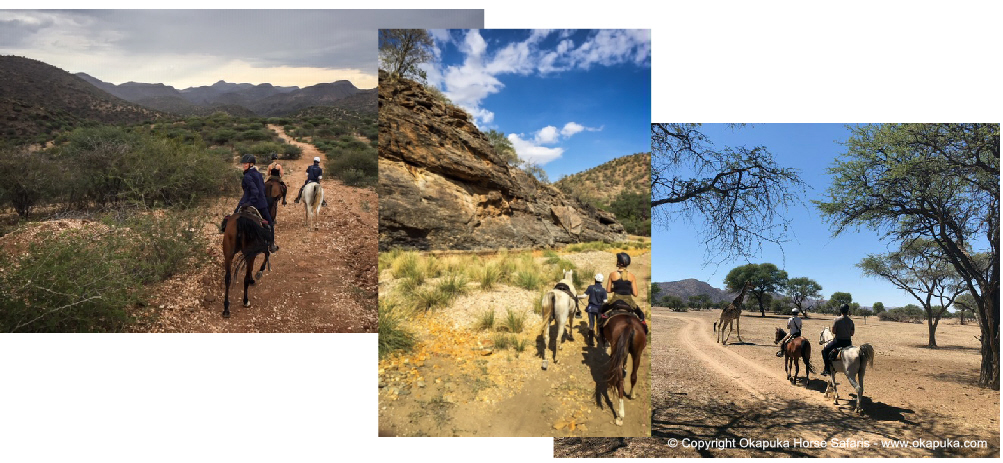 Okapuka Horse Safaris 2 Collage 3