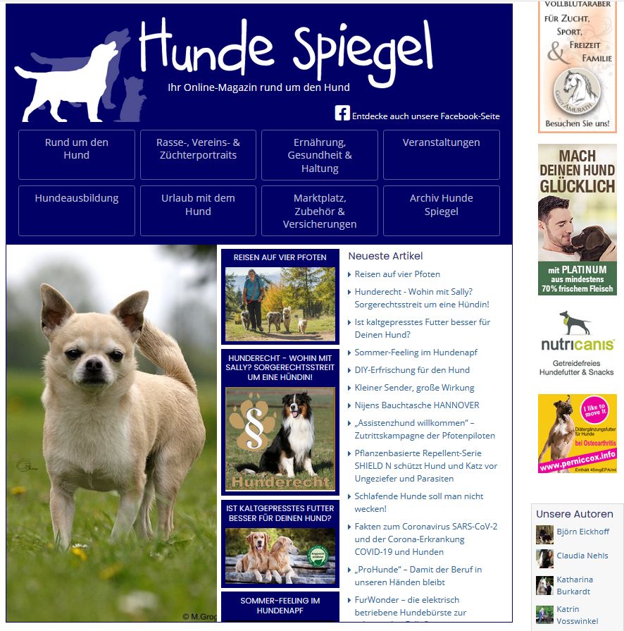 Screenshot Hunde Spiegel