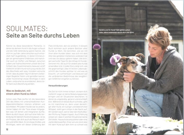 Soulmates Mein Hund wird alt