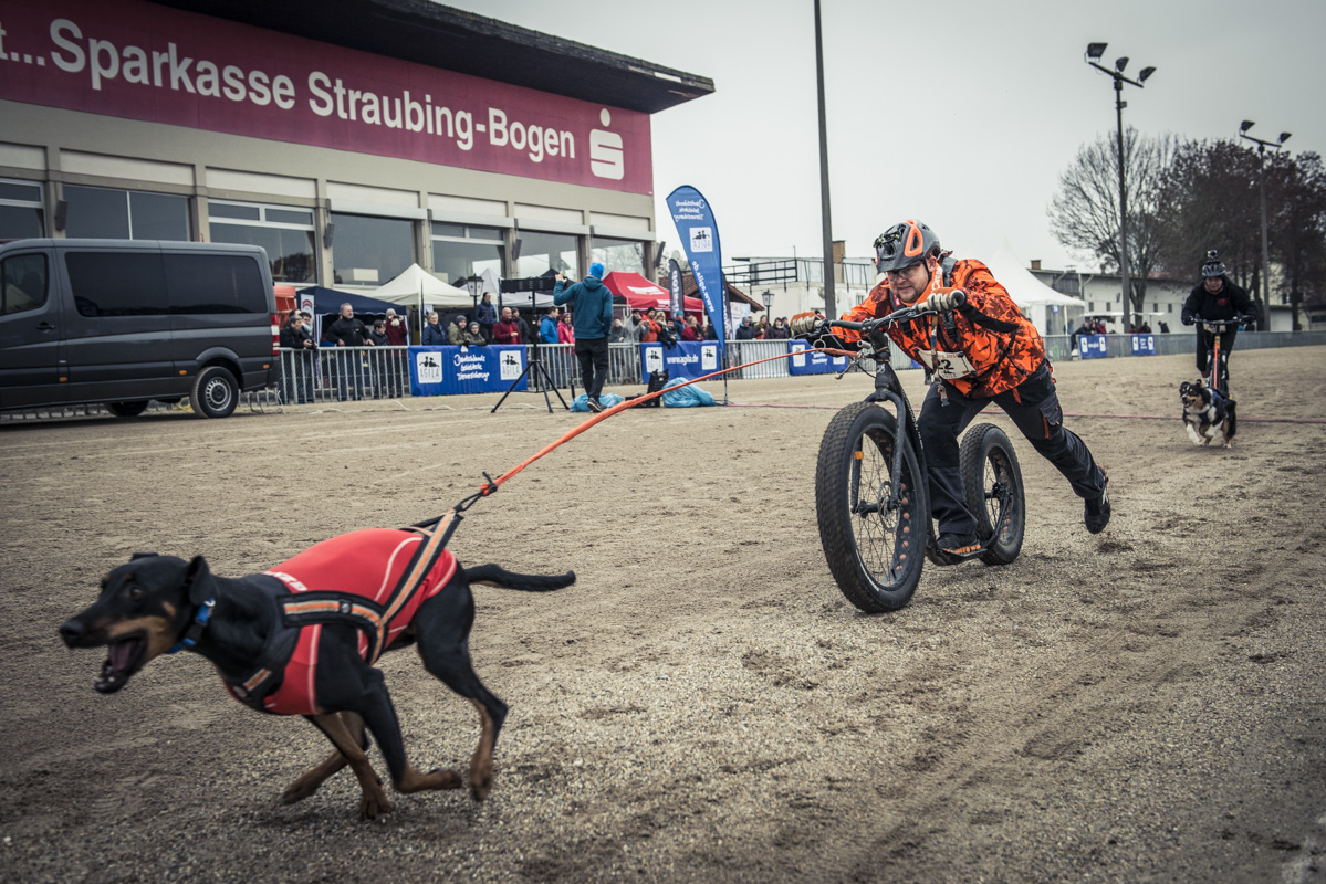 StrongDog Sebastian Gläß beim Dogscooting Foto AGILA Bernd Schönfelder