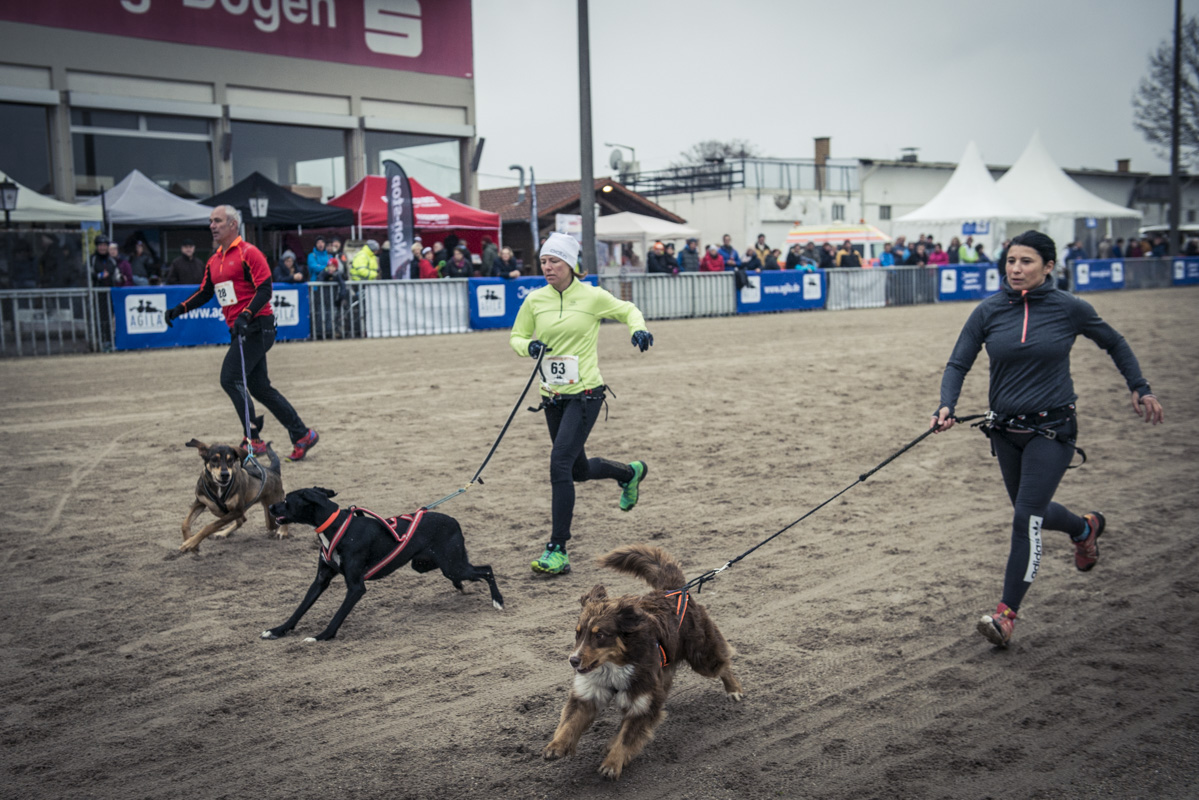 StrongDog Teilnehmer beim Canicross Foto AGILA Bernd Schönfelder
