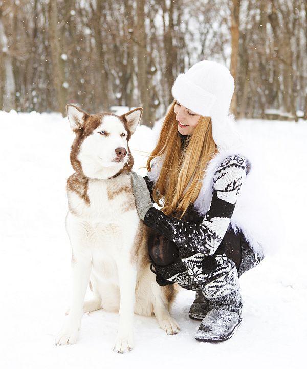 Winterurlaub mit Hund AGILA Fotolia Dasha Petrenko