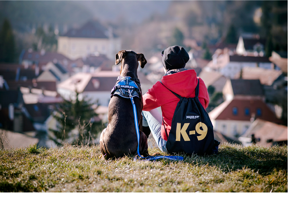UMFRAGE mit Gewinnspiel von JuliusK9® Was ist das charakteristische