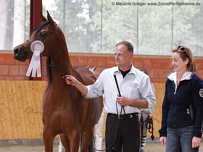 Meinfelds Makani (Teymur B x Maxima) - Foto © M.Groger