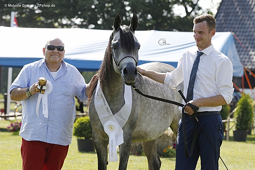 Porlamar el Aryes (Aryes El Ludjin v. Ludjin El Jamaal x Porla El Bri) - Foto: © M.Groger