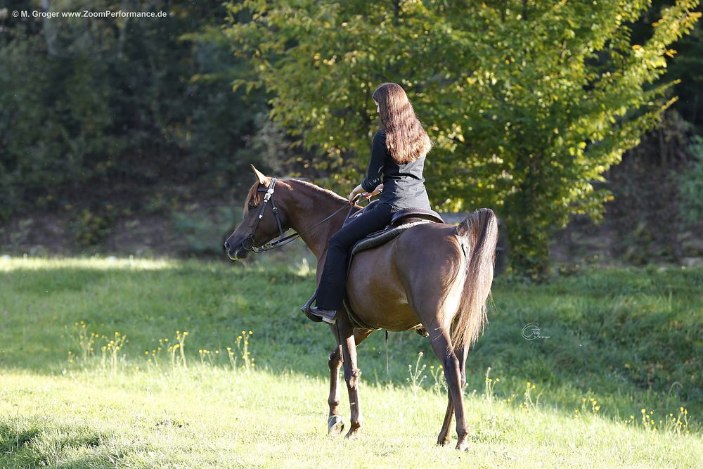 Entspannter Ausritt mit Angel Afrikhan Queen (TF Afrikhan Shah x Angel Aziza) Foto © M.Groger