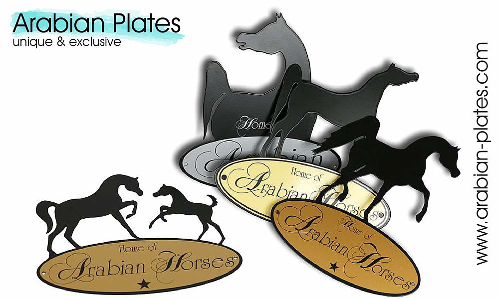 Reliefs mit Pferdemotiven von Arabian-Plates.com