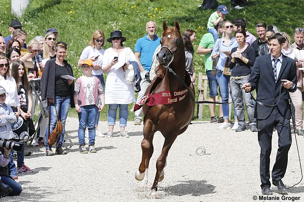 Open Day Sax 2017 Lamandro Foto: © M.Groger