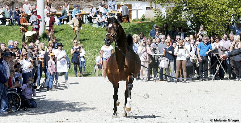 Open Day Sax 2017 Martice Foto: © M.Groger