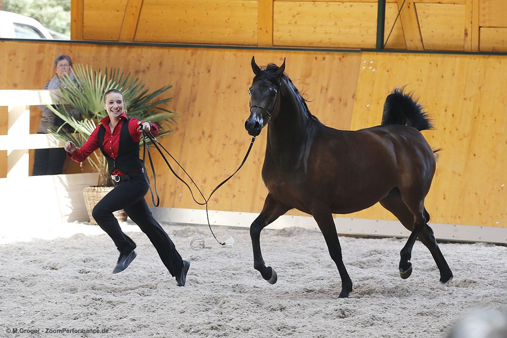 EMAJ OpenDay 2018 - Christina Schläpfer mit Grace J - Foto: © M.Groger