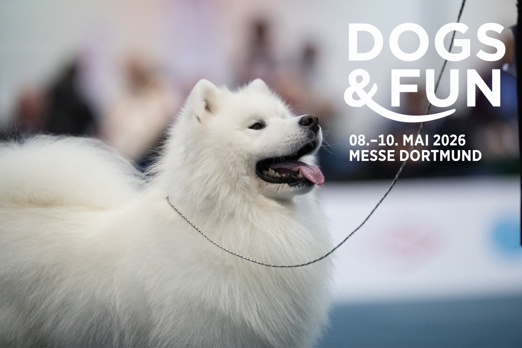 Dogs & Fun 2026: Das Hunde-Highlight in Dortmund – Mitmachen, Shoppen & Gutes tun!