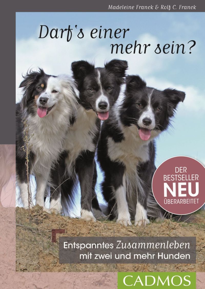 Darf’s einer mehr sein? Entspanntes Zusammenleben mit zwei und mehr Hunden