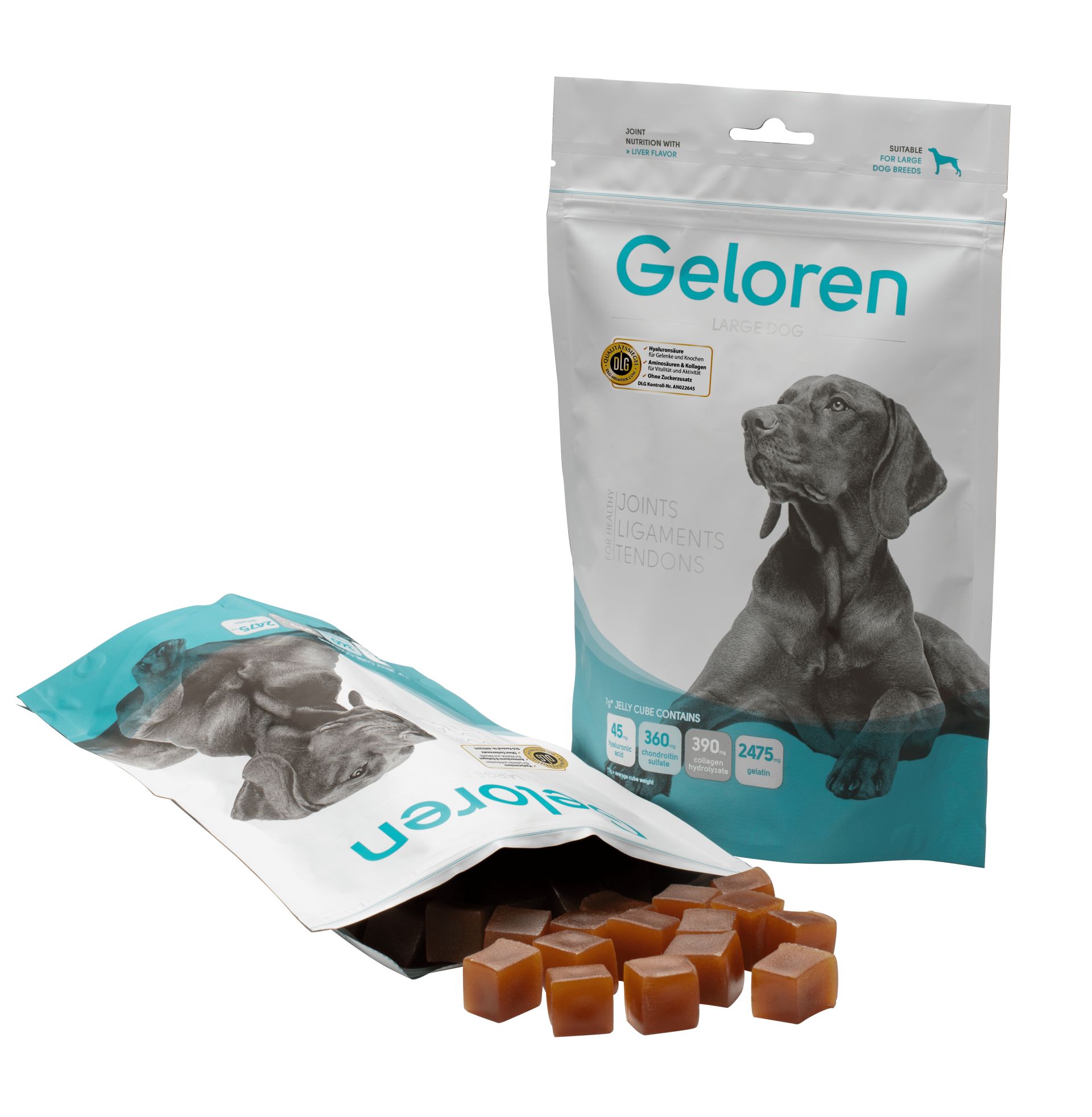 Geloren DOG Large XL Hyaluron Futter Hund Gelenk Contipro 04 0