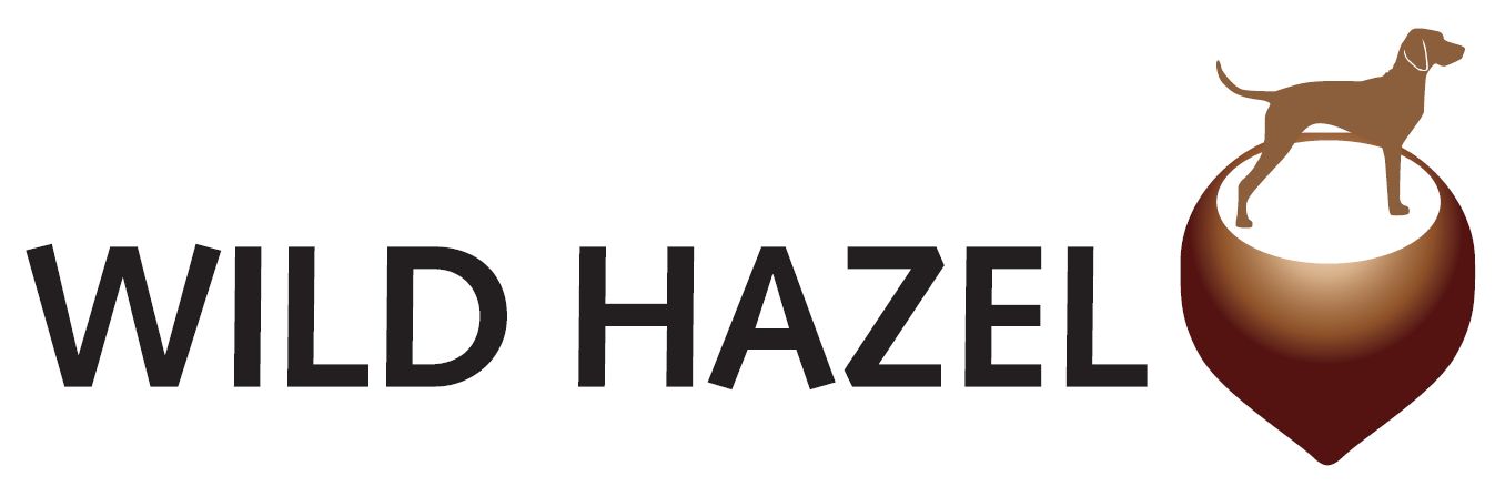 Logo Wild Hazel 2