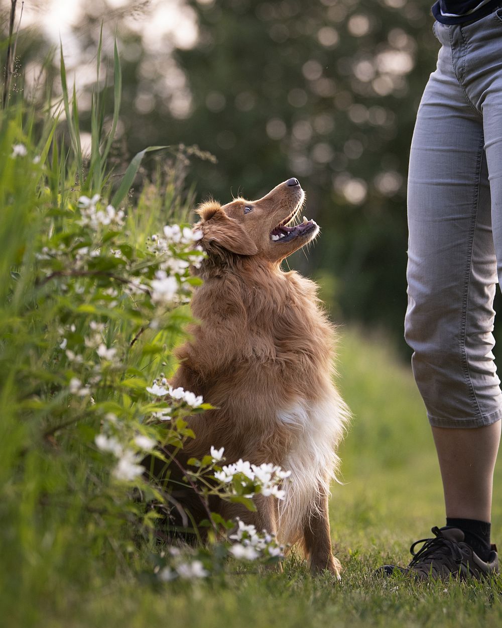 Tierspiegel Brut undSetzzeit 2