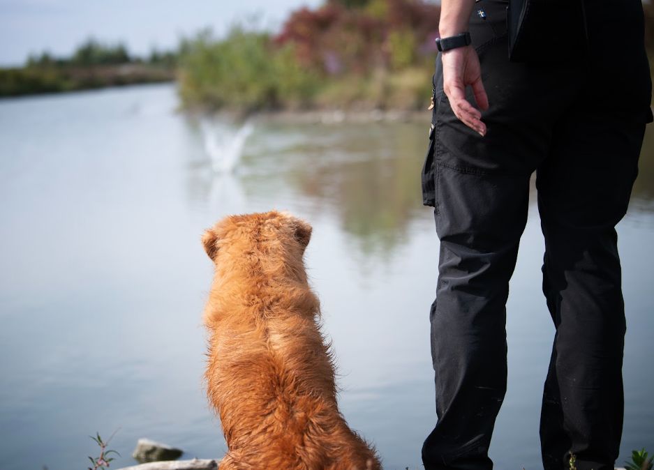 Tierspiegel Brut undSetzzeit 3