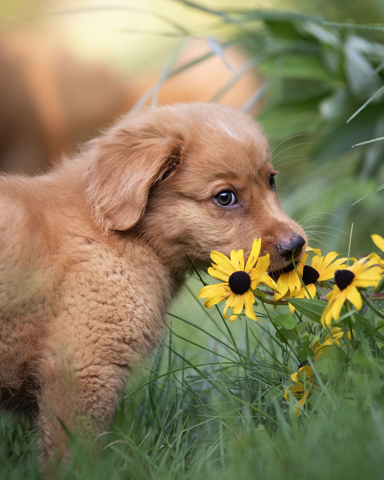 Tierspiegel Ostern Bild3 copy